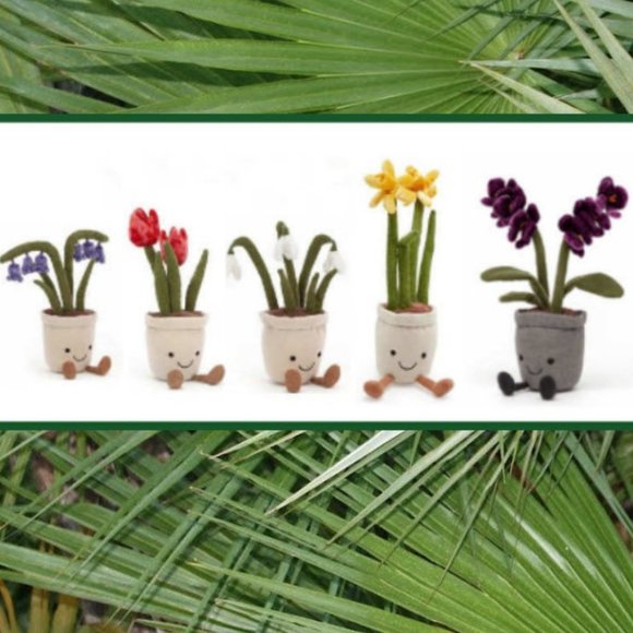 Jellycat Other - New! Amuseable Plush Plants 5pc Set